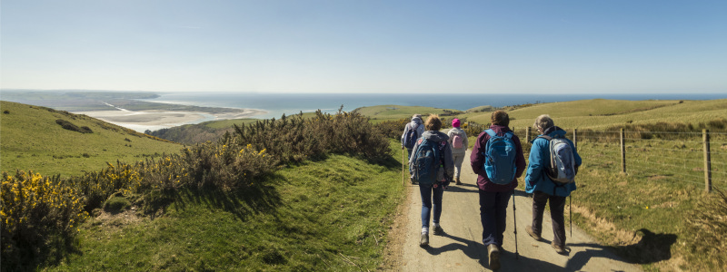 Photograph of Walking Route - Image 35