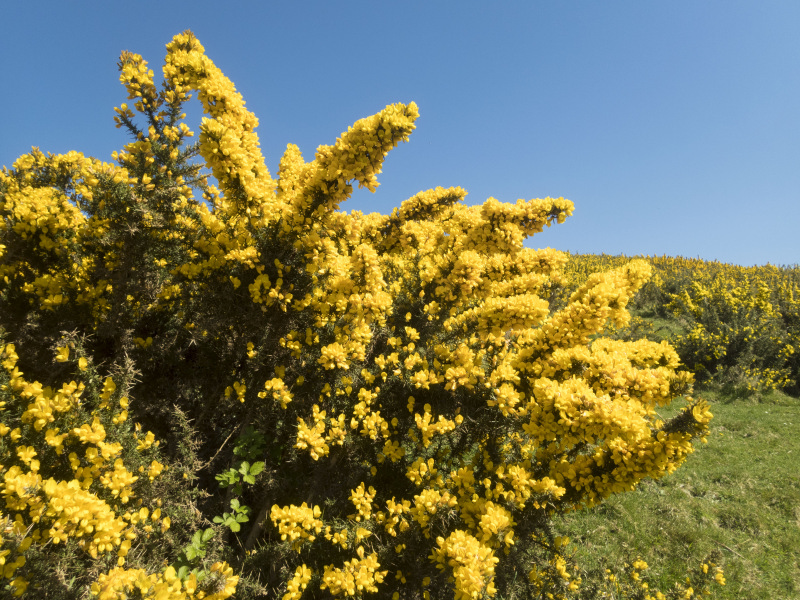 Photograph of Walking Route - Image 39