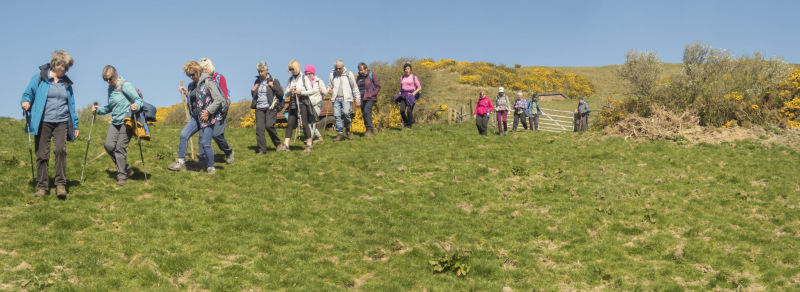 Photograph of Walking Route - Image 40