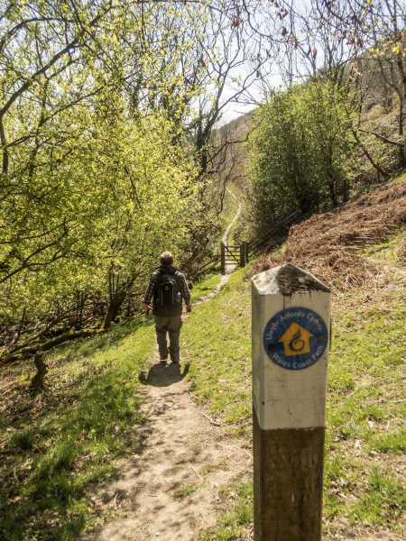 Photograph of Walking Route - Image 44