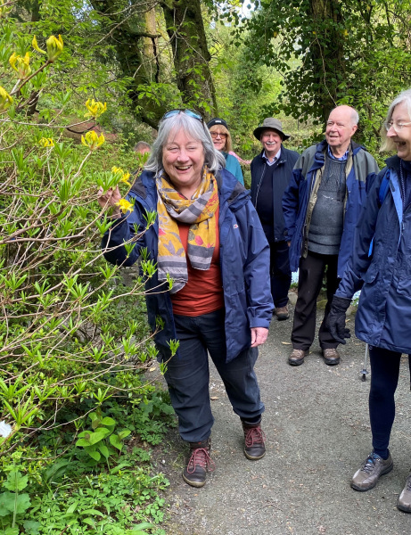 Photograph of Walking Route - Image 3
