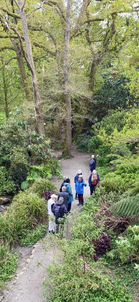 Photograph of Walking Route - Image 5