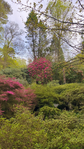 Photograph of Walking Route - Image 6