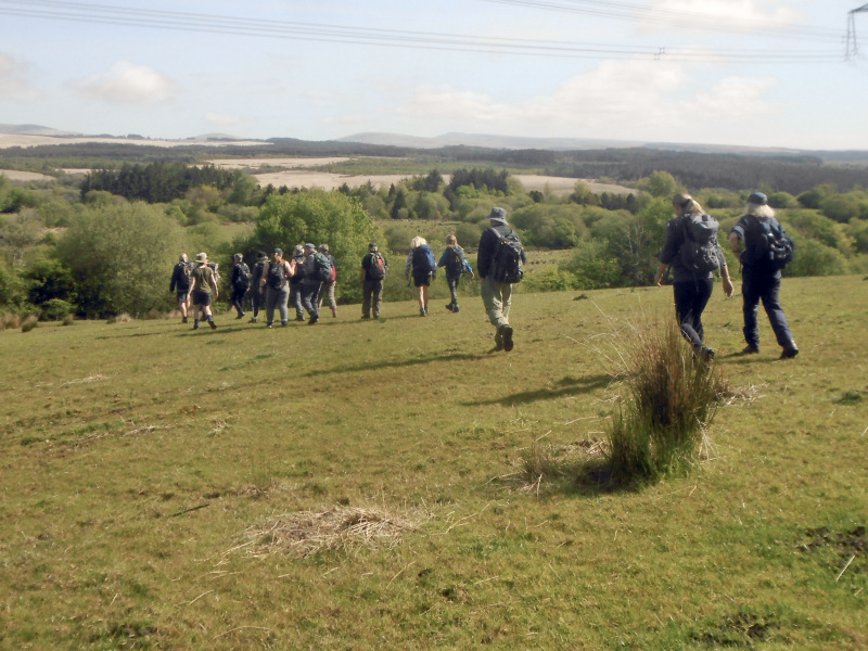 Photograph of Walking Route - Image 1
