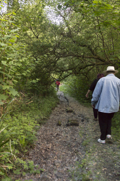 Photograph of Walking Route - Image 5