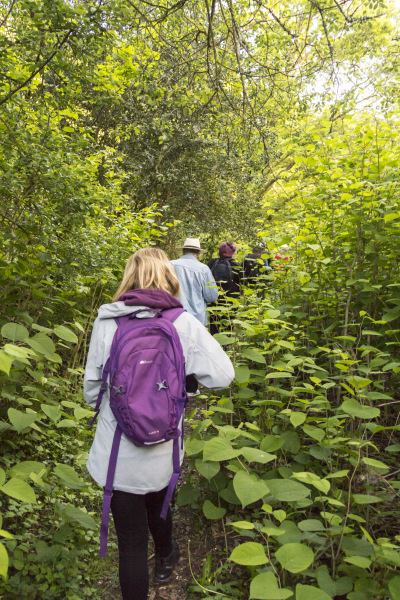 Photograph of Walking Route - Image 6