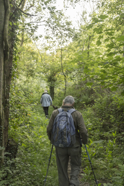 Photograph of Walking Route - Image 8