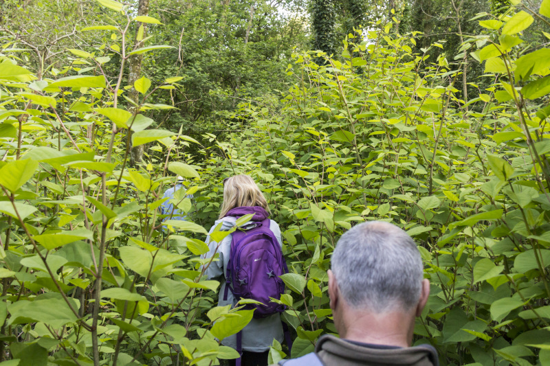 Photograph of Walking Route - Image 9