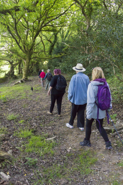 Photograph of Walking Route - Image 11