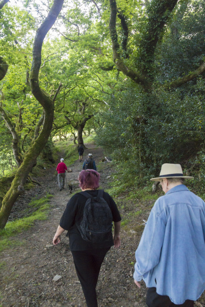 Photograph of Walking Route - Image 12