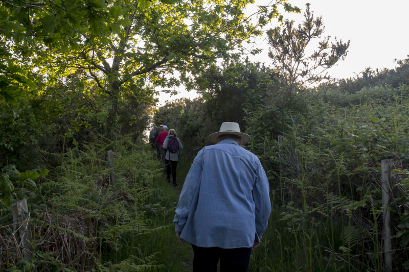 Photograph of Walking Route - Image 13