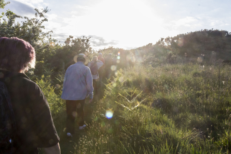 Photograph of Walking Route - Image 14