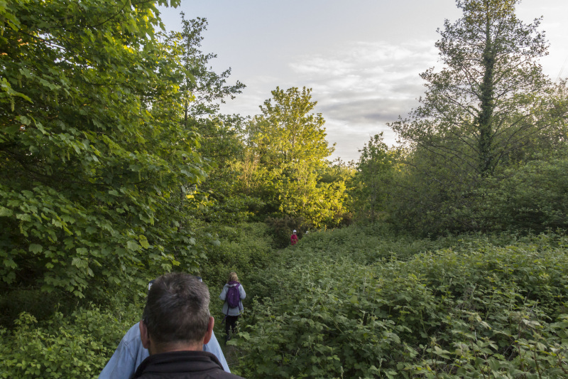 Photograph of Walking Route - Image 18