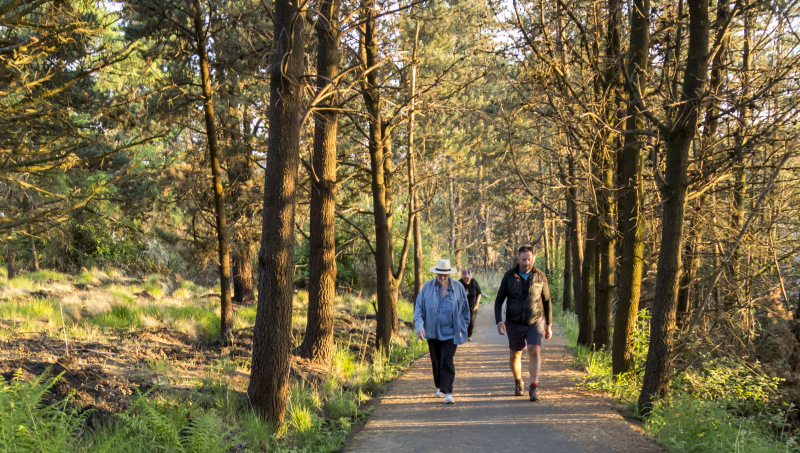 Photograph of Walking Route - Image 20
