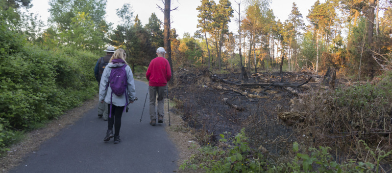 Photograph of Walking Route - Image 21