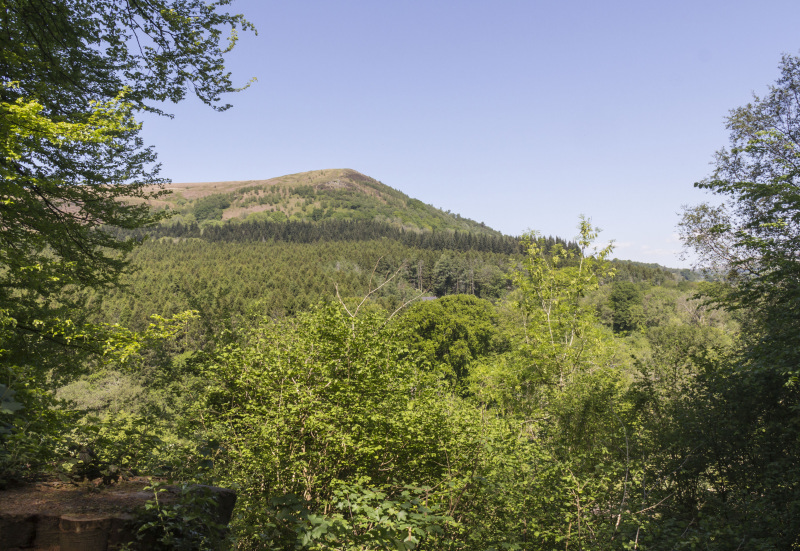 Photograph of Walking Route - Image 4