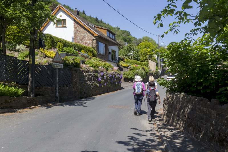 Photograph of Walking Route - Image 5