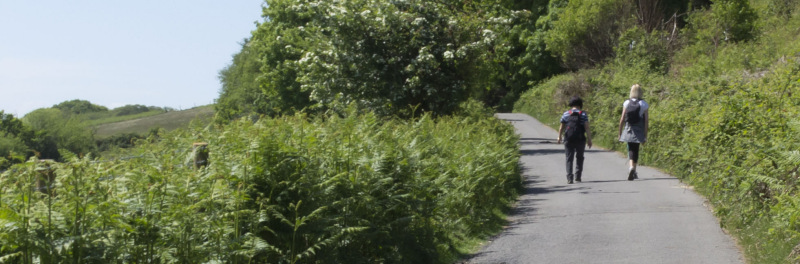 Photograph of Walking Route - Image 7