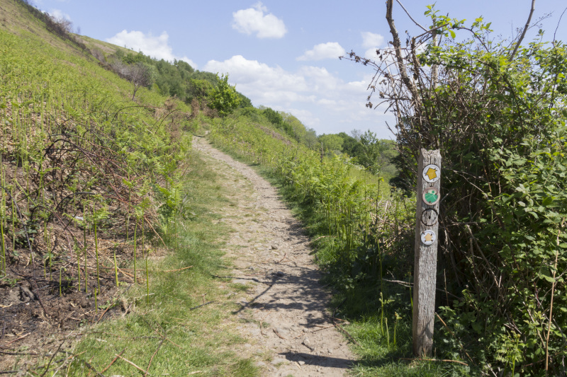 Photograph of Walking Route - Image 8