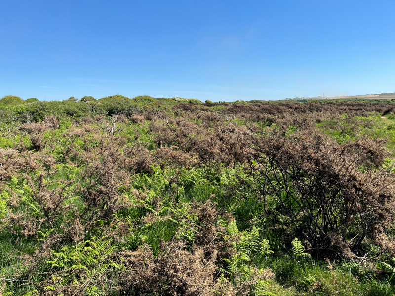 Photograph of Walking Route - Image 1