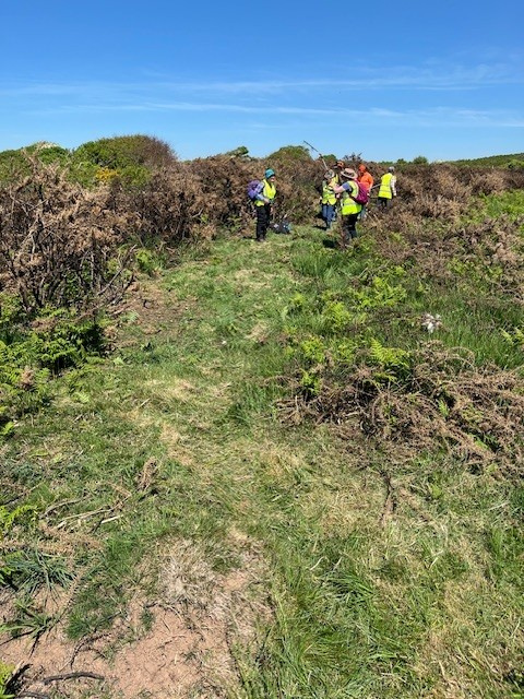 Photograph of Walking Route - Image 2