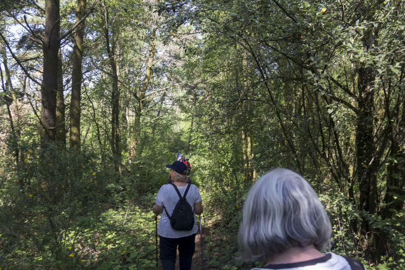 Photograph of Walking Route - Image 3