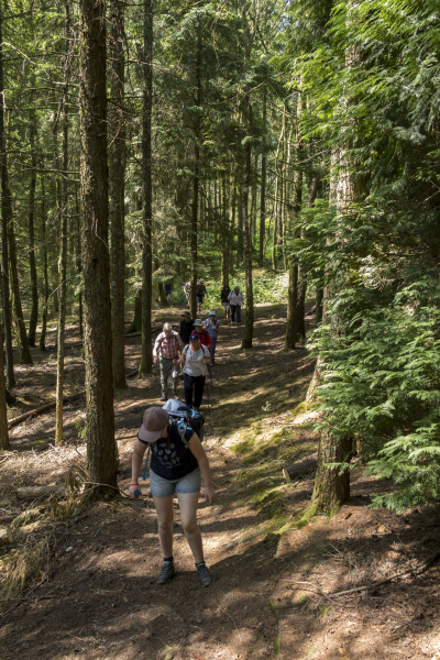 Photograph of Walking Route - Image 9