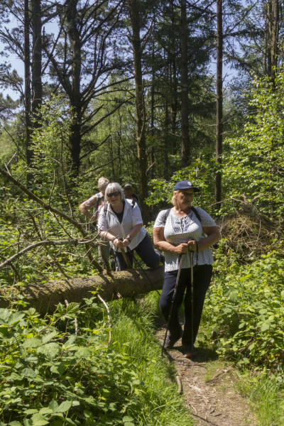 Photograph of Walking Route - Image 10