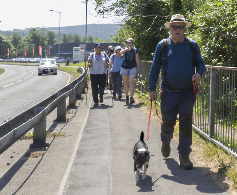 Photograph of Walking Route - Image 11