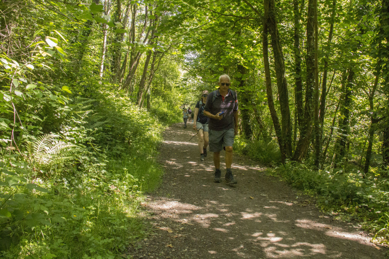 Photograph of Walking Route - Image 13