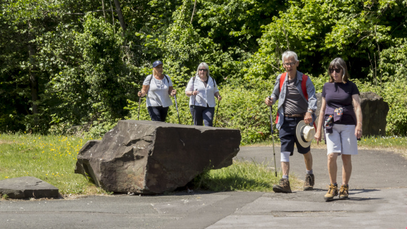 Photograph of Walking Route - Image 14
