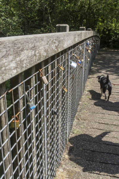 Photograph of Walking Route - Image 15