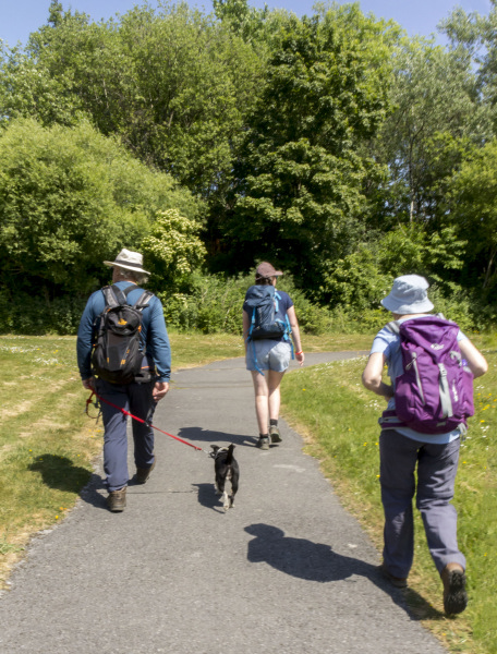 Photograph of Walking Route - Image 16