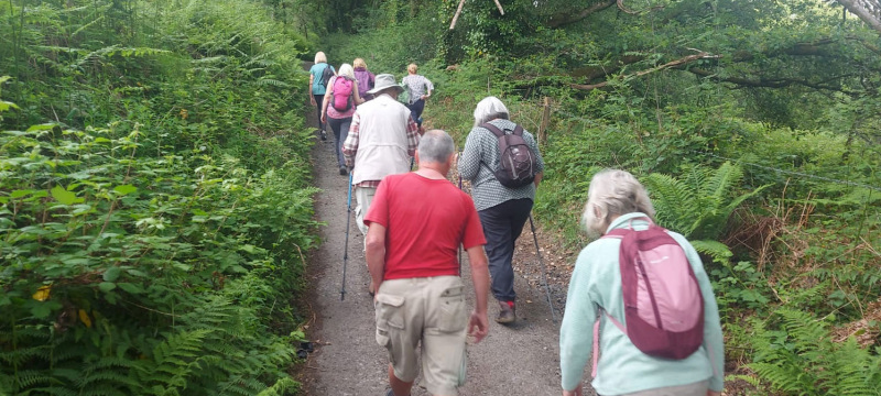 Photograph of Walking Route - Image 7