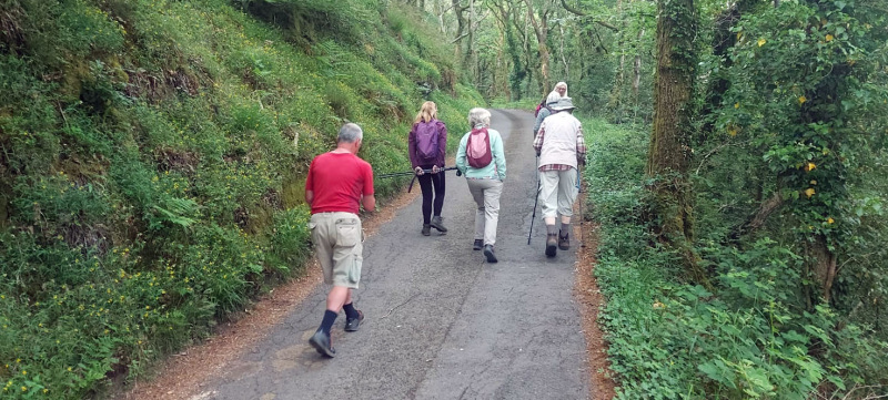 Photograph of Walking Route - Image 8