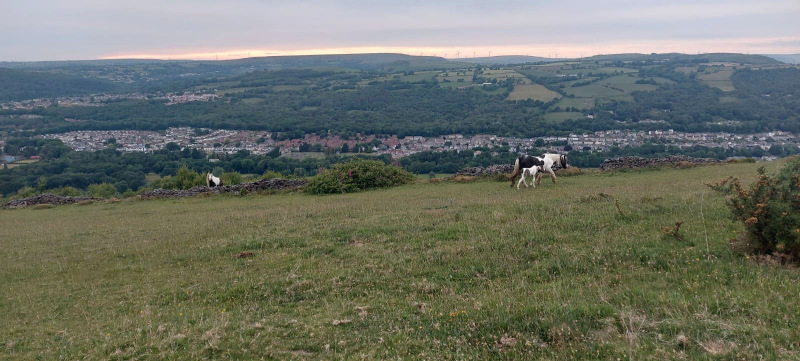 Photograph of Walking Route - Image 10