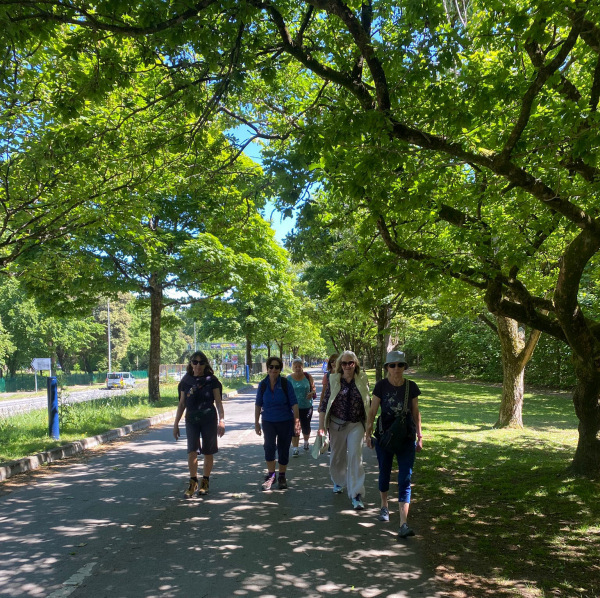 Photograph of Walking Route - Image 8
