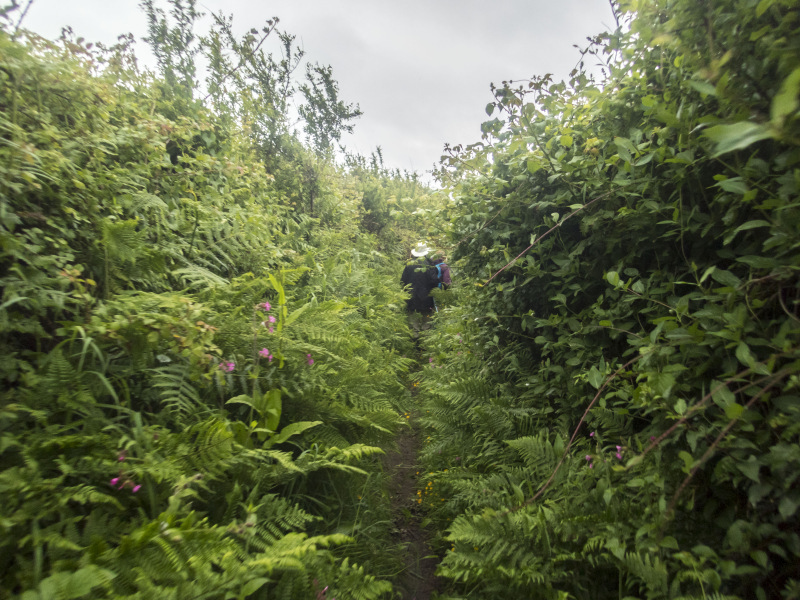 Photograph of Walking Route - Image 17