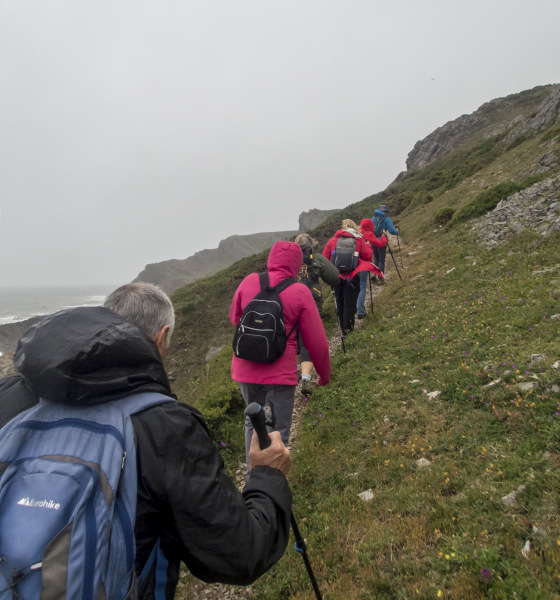 Photograph of Walking Route - Image 16