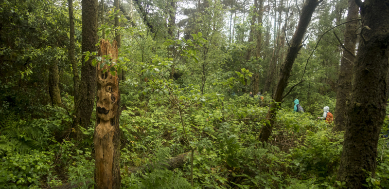 Photograph of Walking Route - Image 8