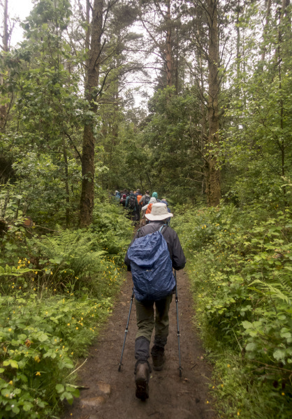 Photograph of Walking Route - Image 9