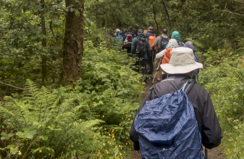 Photograph of Walking Route - Image 10