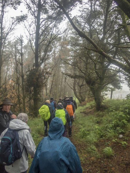 Photograph of Walking Route - Image 14