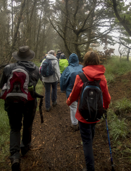 Photograph of Walking Route - Image 15