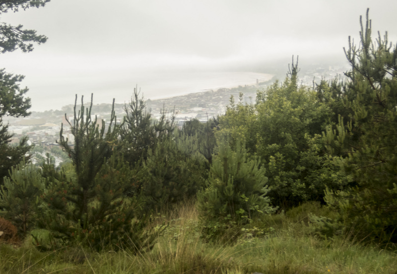 Photograph of Walking Route - Image 17