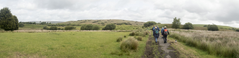 Photograph of Walking Route - Image 6