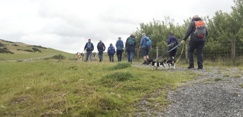Photograph of Walking Route - Image 7