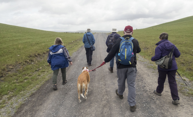Photograph of Walking Route - Image 11