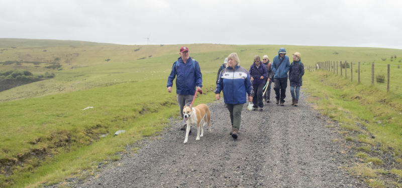 Photograph of Walking Route - Image 14