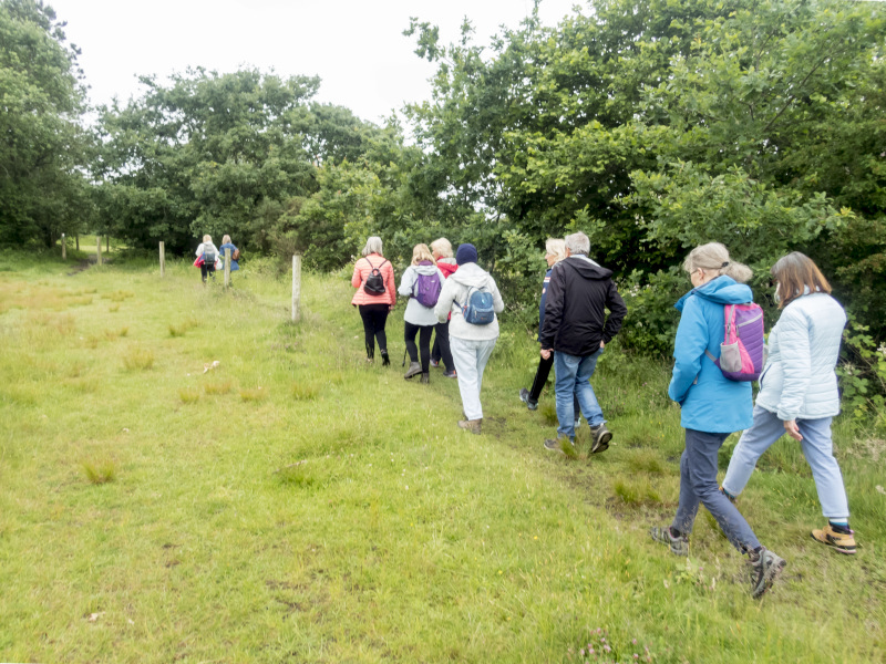 Photograph of Walking Route - Image 3